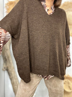 Load image into Gallery viewer, Choco LEO Sweater
