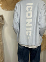 Charger l'image dans la galerie, Pull ICONIC Bleu ciel
