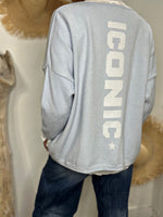 Charger l'image dans la galerie, Pull ICONIC Bleu ciel
