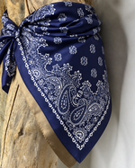 Charger l'image dans la galerie, Foulard 54
