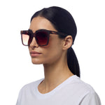 Charger l'image dans la galerie, Lunettes de soleil ROMA havana - OKKIA
