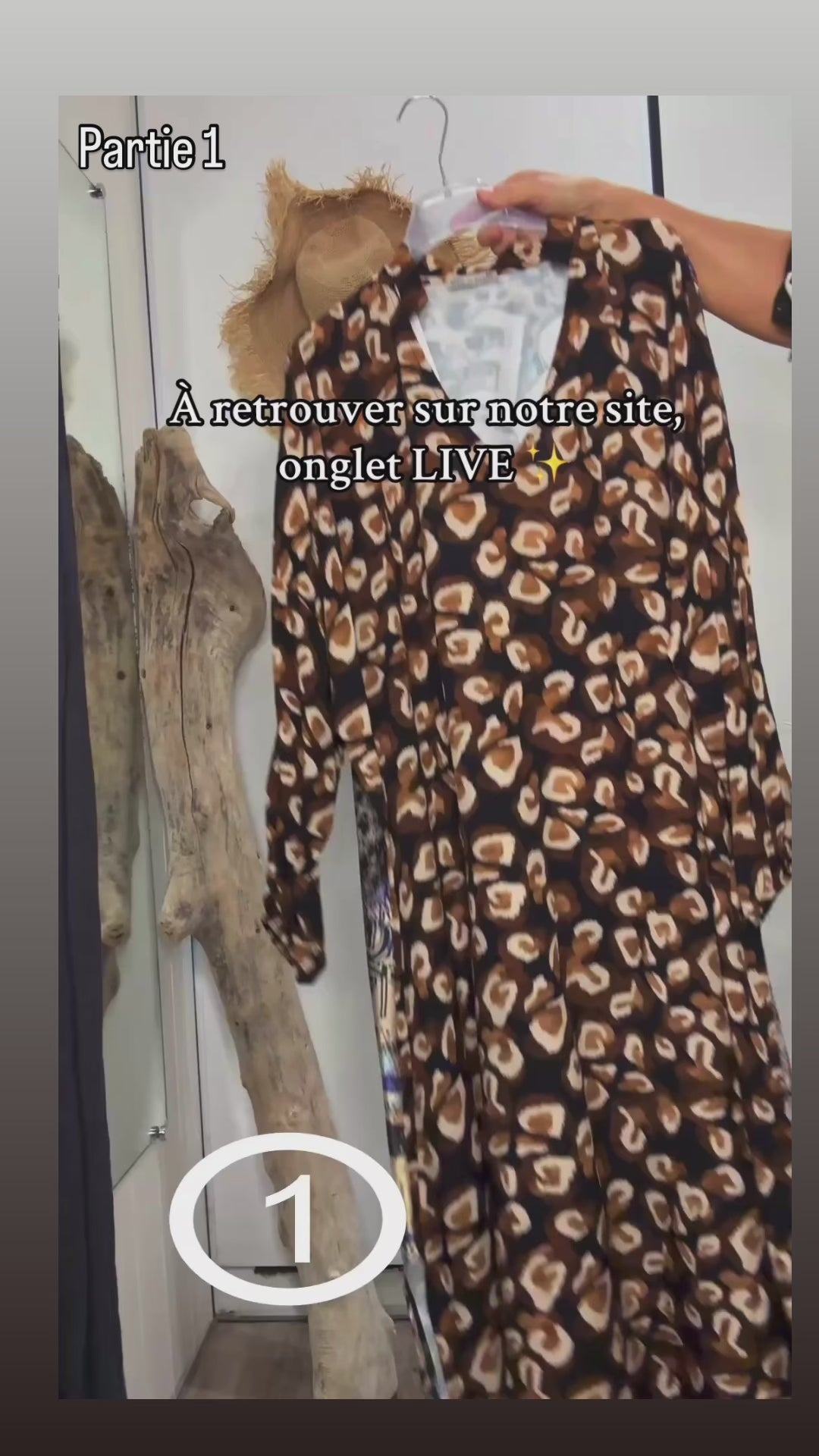 LIVE SPECIAL ROBE Partie 1